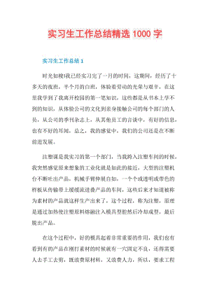 实习生工作总结精选1000字.doc