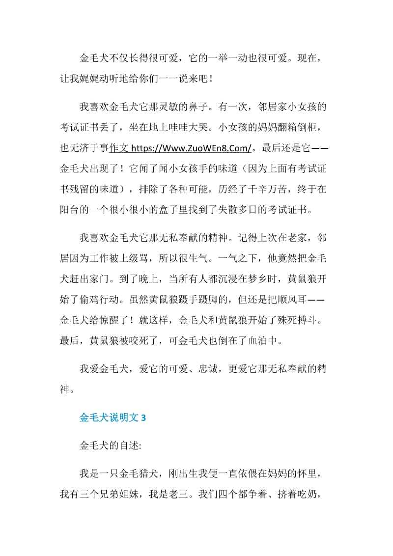 五篇400字关于金毛犬说明文的作文.doc_第3页