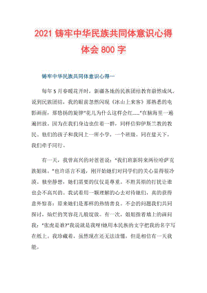 2021铸牢中华民族共同体意识心得体会800字.doc