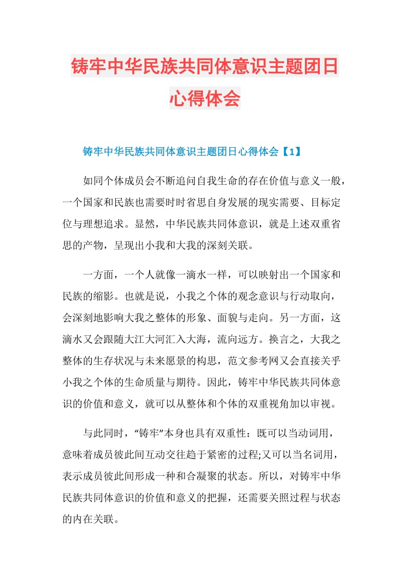 铸牢中华民族共同体意识主题团日心得体会doc