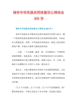 铸牢中华民族共同体意识心得体会800字.doc