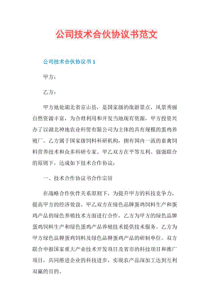 公司技术合伙协议书范文.doc