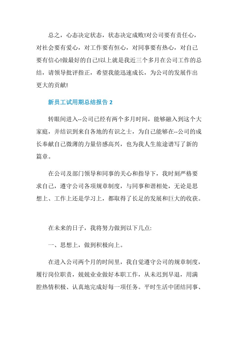 新员工试用期总结报告.doc_第3页