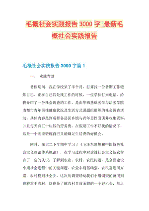 毛概社会实践报告3000字_最新毛概社会实践报告.doc