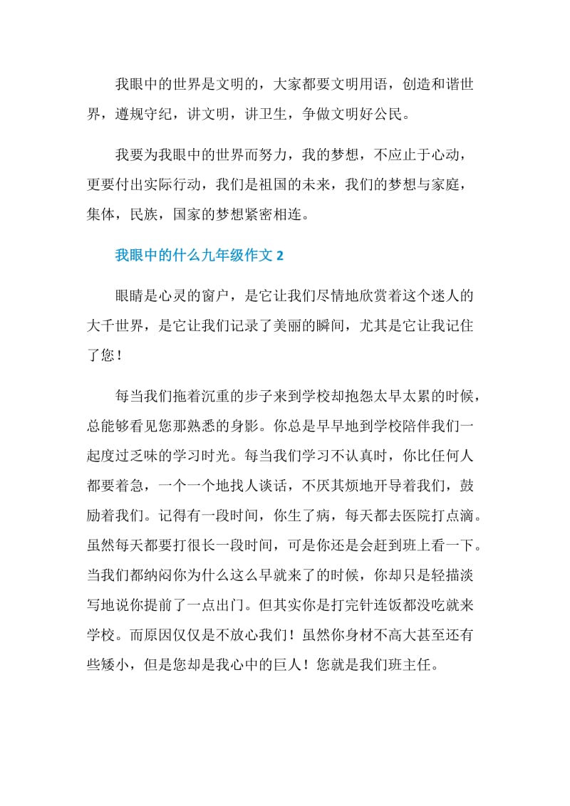 我眼中的什么九年级作文.doc_第2页