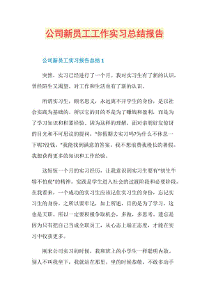 公司新员工工作实习总结报告.doc