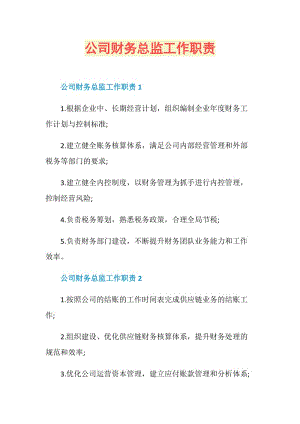 公司财务总监工作职责.doc