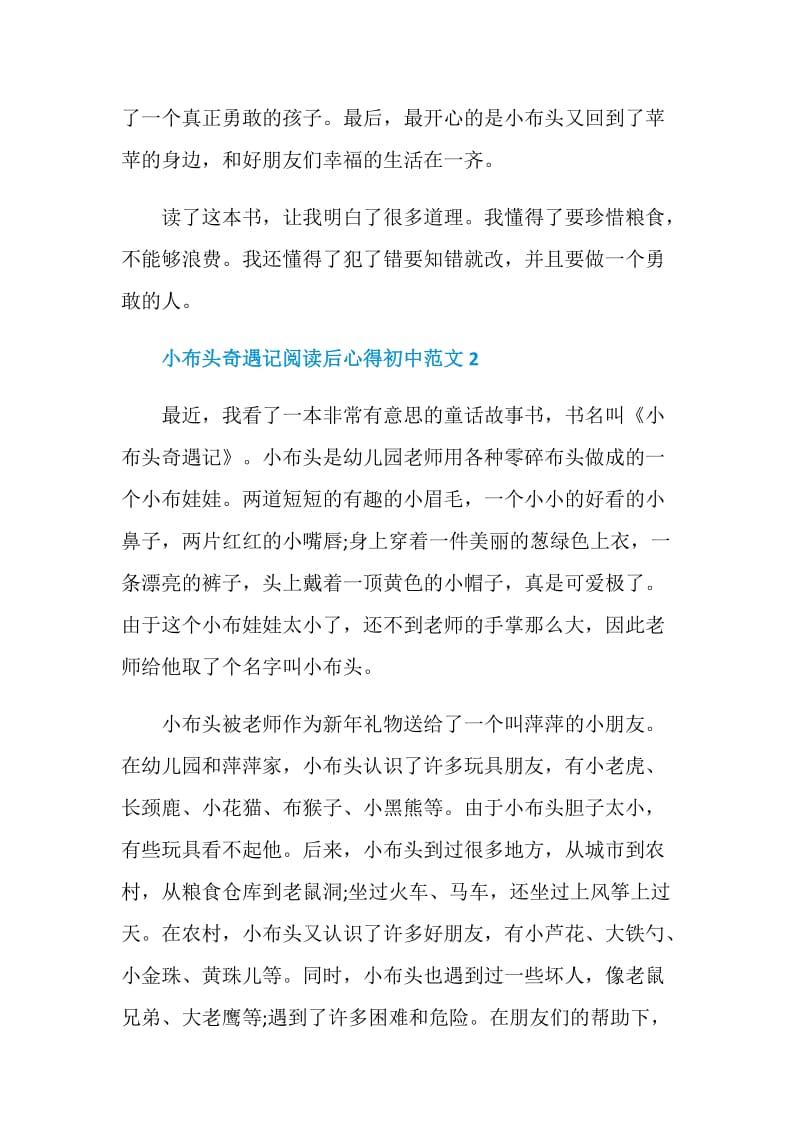 小布头奇遇记阅读后心得初中范文.doc_第2页