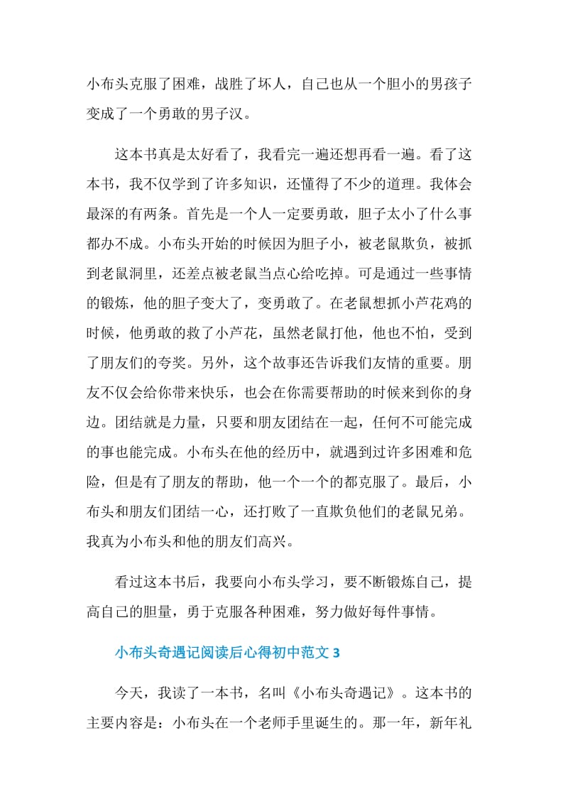 小布头奇遇记阅读后心得初中范文.doc_第3页