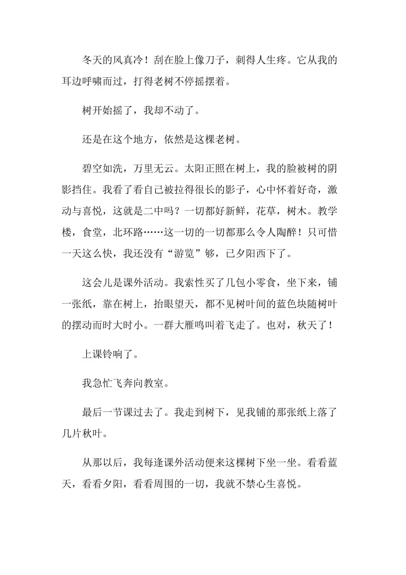 我多了一份什么初三600字作文.doc_第3页