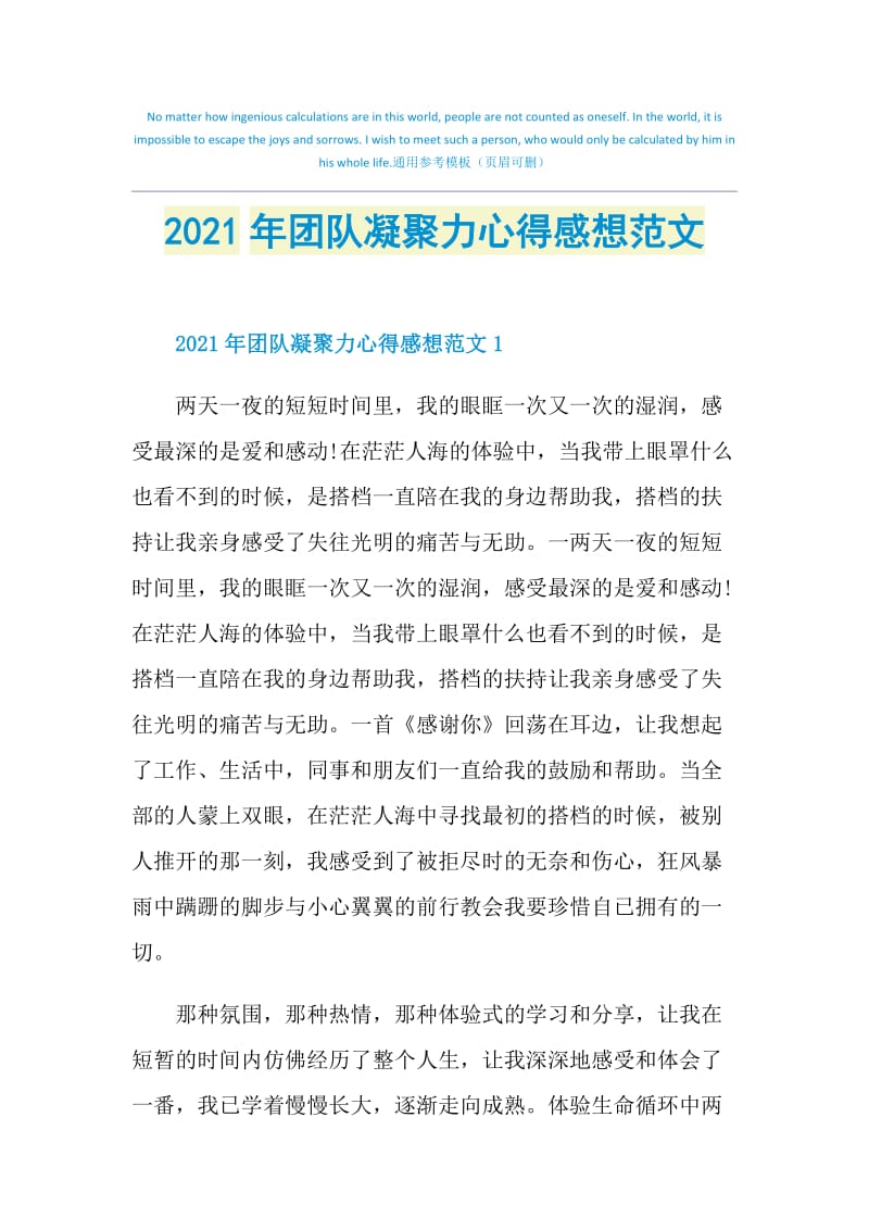 2021年团队凝聚力心得感想范文.doc_第1页