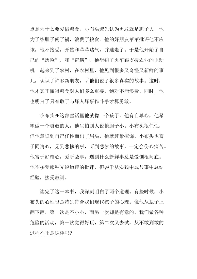 小布头奇遇记读后心得.doc_第3页