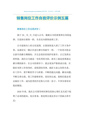 销售岗位工作自我评价示例五篇.doc