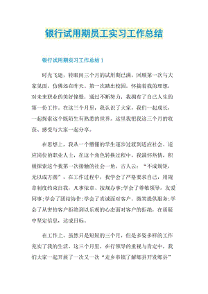 银行试用期员工实习工作总结.doc