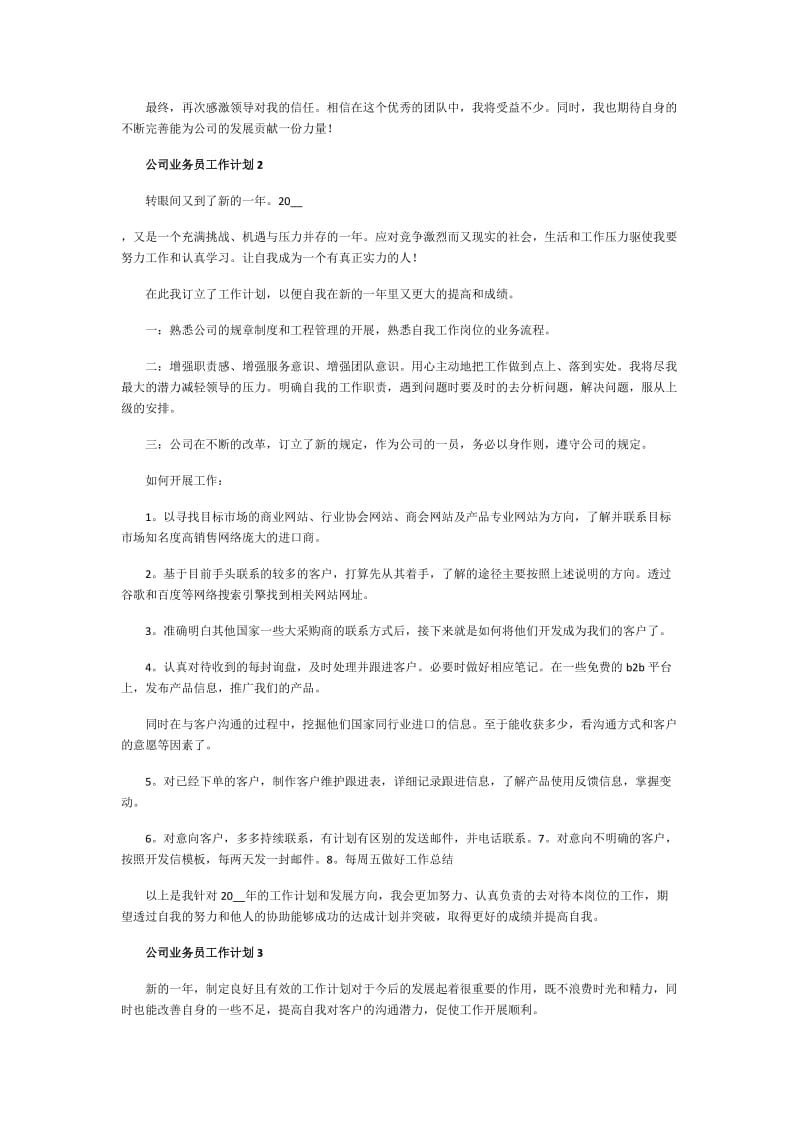 公司业务员工作计划.doc_第2页