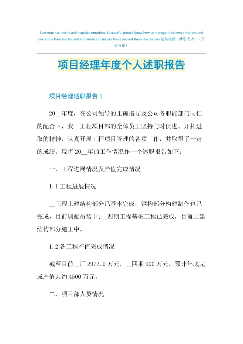 项目经理年度个人述职报告.doc_第1页