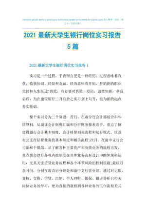 2021最新大学生银行岗位实习报告5篇.doc