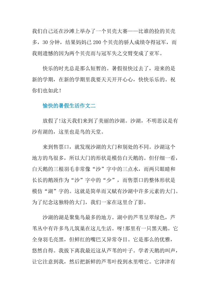 愉快的暑假生活作文2021.doc_第2页