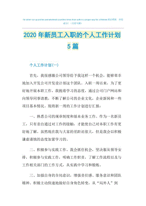 2020年新员工入职的个人工作计划5篇.doc