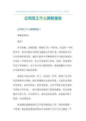 公司员工个人辞职报告.doc