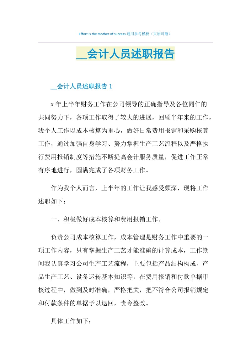 2021会计人员述职报告.doc_第1页