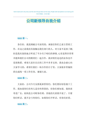 公司新领导自我介绍.doc