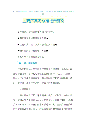 2021药厂实习总结报告范文.doc