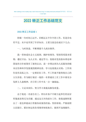 2022转正工作总结范文.doc