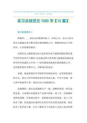 实习总结范文1000字【15篇】.doc