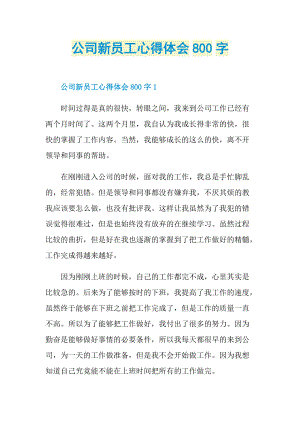 公司新员工心得体会800字.doc