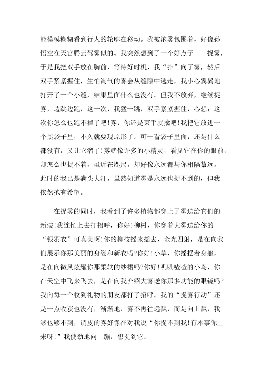 初中雾的随笔600字.doc_第3页