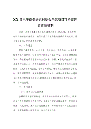 XX县电子商务进农村综合示范项目可持续运营管理机制.docx