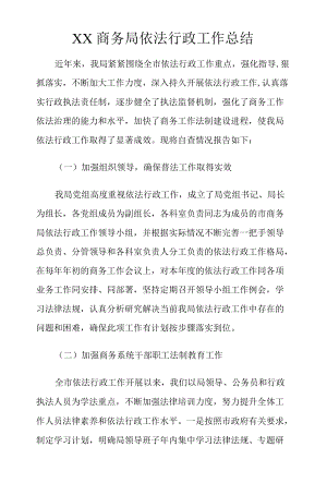 XX商务局依法行政工作总结范文.docx