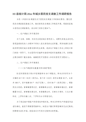 xx县统计局20xx城乡居民收支调查工作调研报告.docx