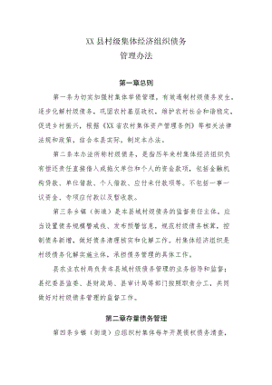 XX县村级集体经济组织债务管理办法.docx