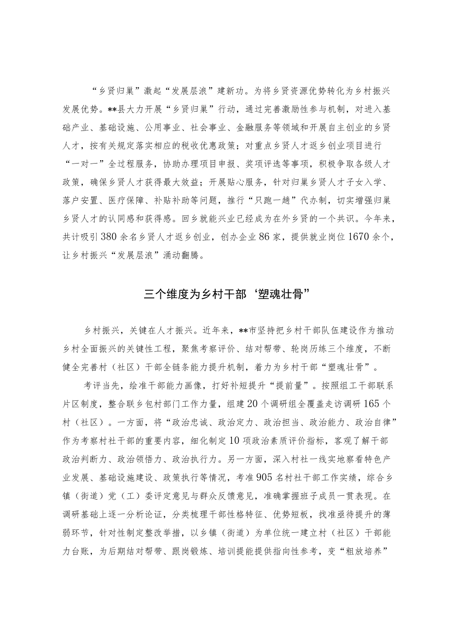 人才振兴经验交流材料.docx_第2页