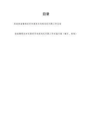 乡镇、街道排查整顿农村发展党员违规违纪问题工作实施方案和工作总结共2篇.docx