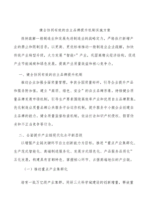 健全协同有效的自主品牌提升机制实施方案.docx