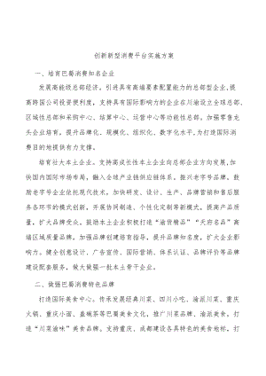 创新新型消费平台实施方案.docx