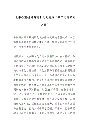 【中心组研讨发言】合力建好“城市之尾乡村之首”.docx