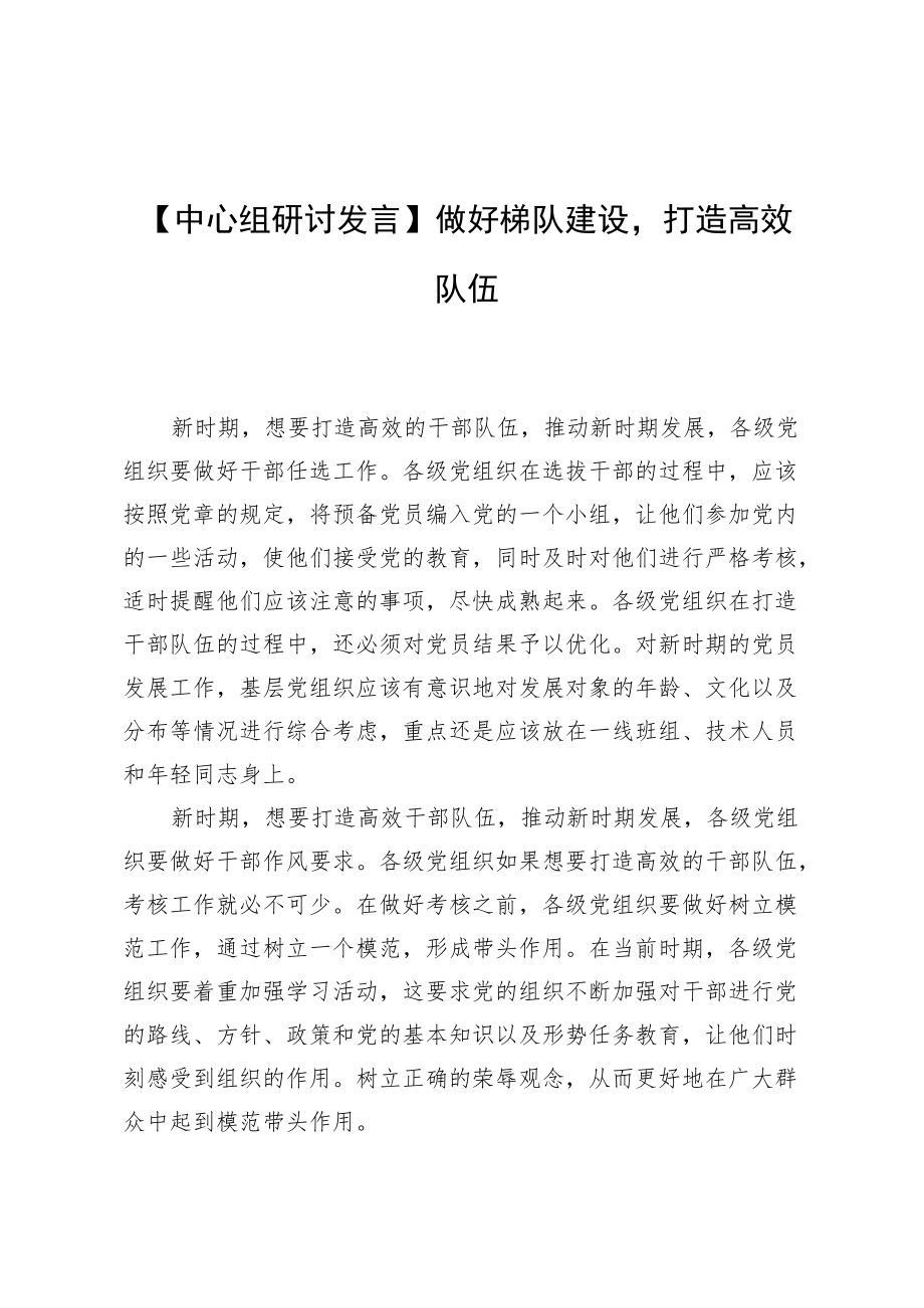 【中心组研讨发言】做好梯队建设打造高效队伍.docx_第1页