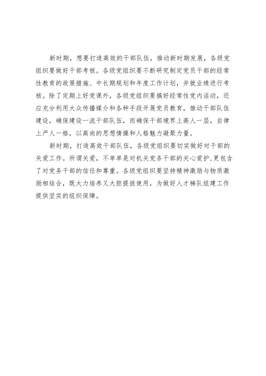 【中心组研讨发言】做好梯队建设打造高效队伍.docx_第2页