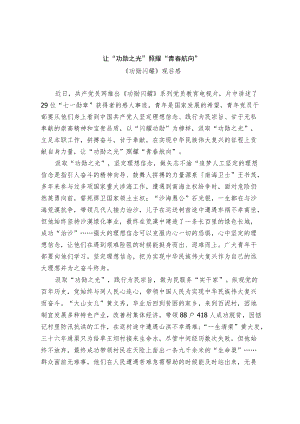 《功勋闪耀》观后感.docx