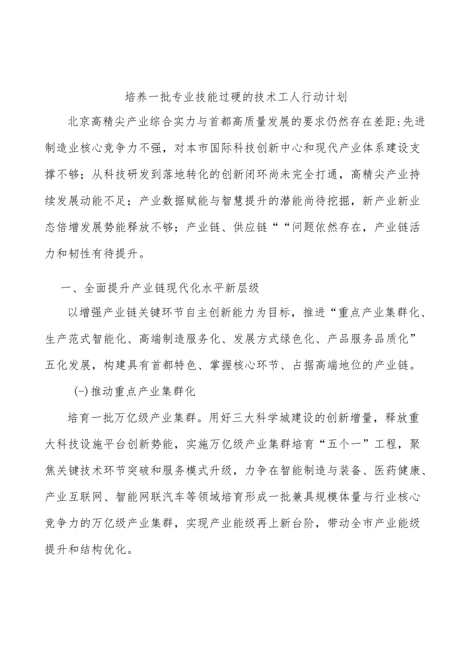 培养一批专业技能过硬的技术工人行动计划.docx_第1页