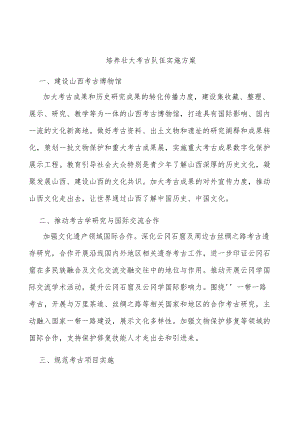 培养壮大考古队伍实施方案.docx