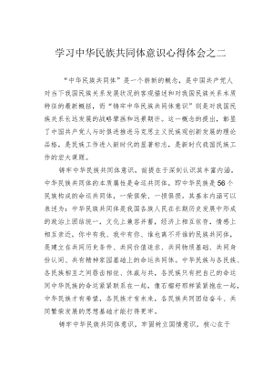 学习中华民族共同体意识心得体会之二.docx