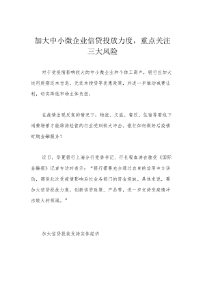 加大中小微企业信贷投放力度重点关注三大风险.docx