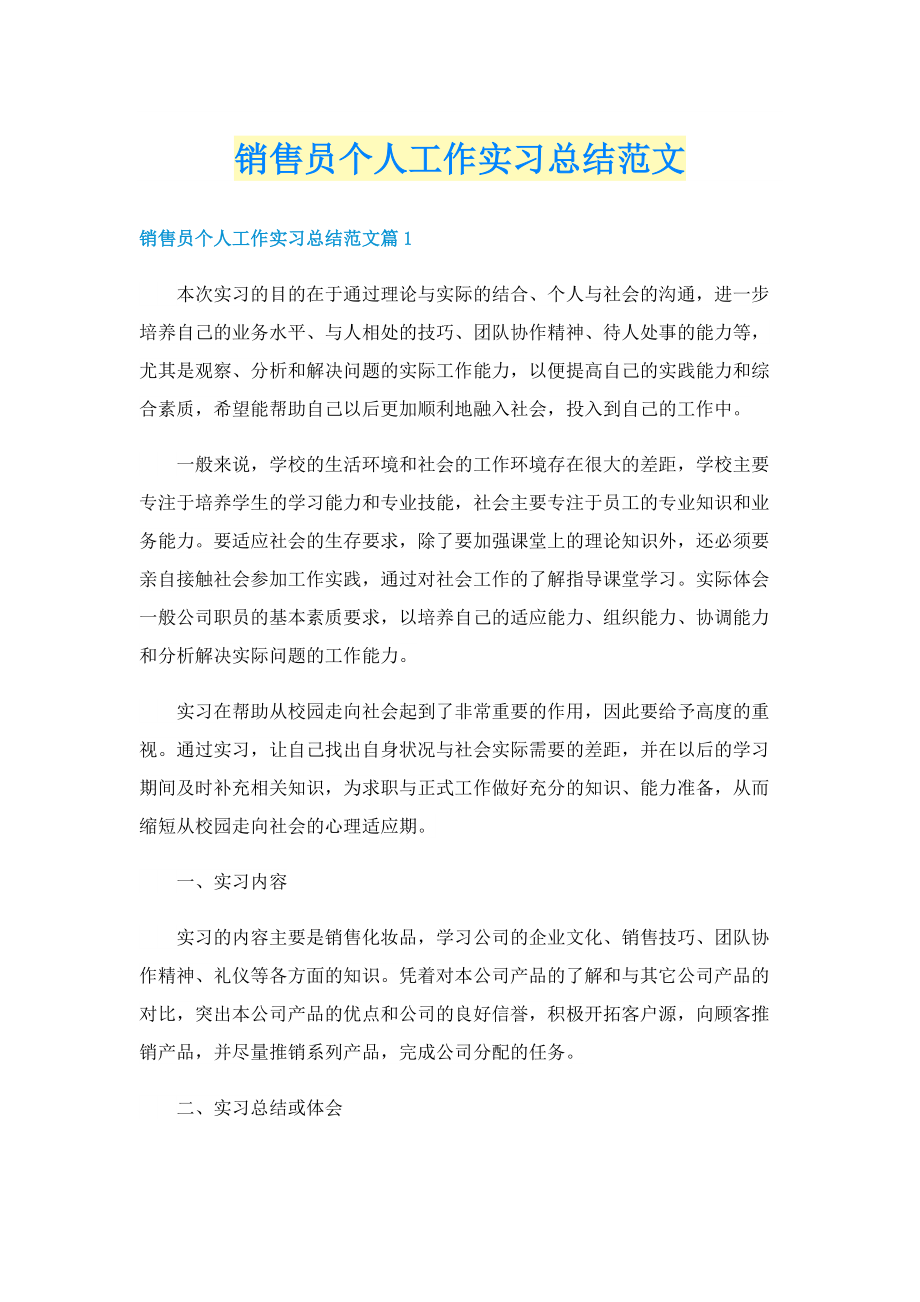 销售员个人工作实习总结范文.doc_第1页