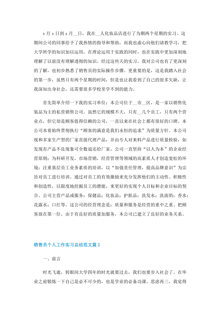 销售员个人工作实习总结范文.doc_第2页