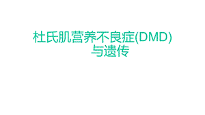 杜氏肌营养不良症(DMD)与遗传优秀课件.ppt